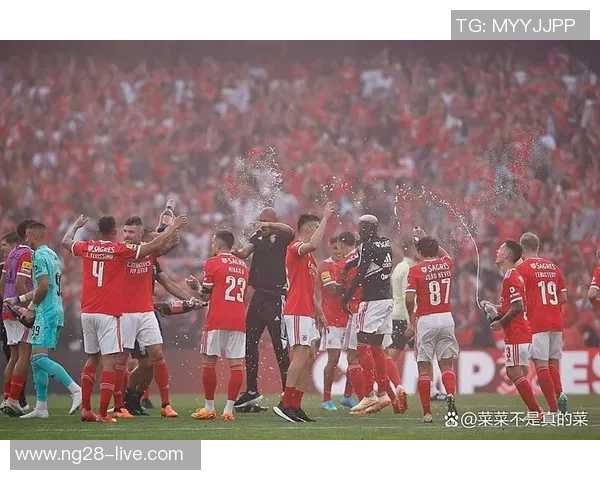 本菲卡逆转多特蒙德3-0胜利全场沸腾精彩瞬间分析