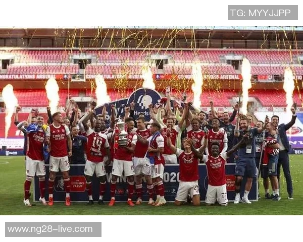 英超激情对决阿森纳狂胜里昂五球大捷十大精彩进球回顾